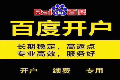 SEM推广公司案例分享：电商品牌崛起之路
